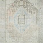 Baloy Vintage Washable Traditional Machine-Woven Area Rug