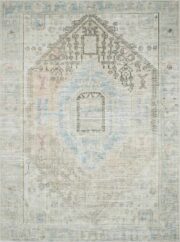 Baloy Vintage Washable Traditional Machine-Woven Area Rug